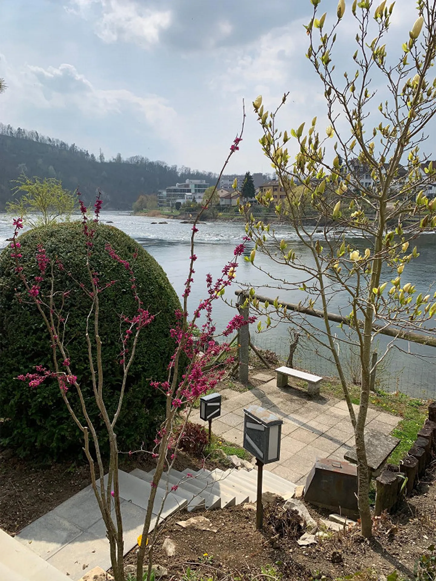 6.5 Room Single Family Home Directly on the Rhine - Photo 9 of 11