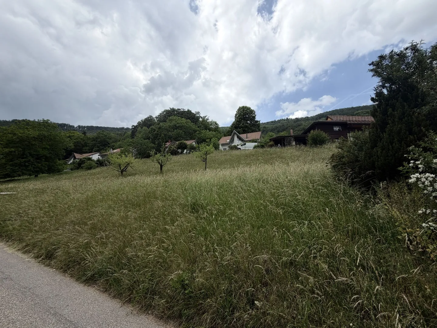 Seltene Gelegenheit: Wohnhaus mit Ökonomieteil und Baulandreserve auf 1'752 m² in Lostorf - Foto 10 di 15