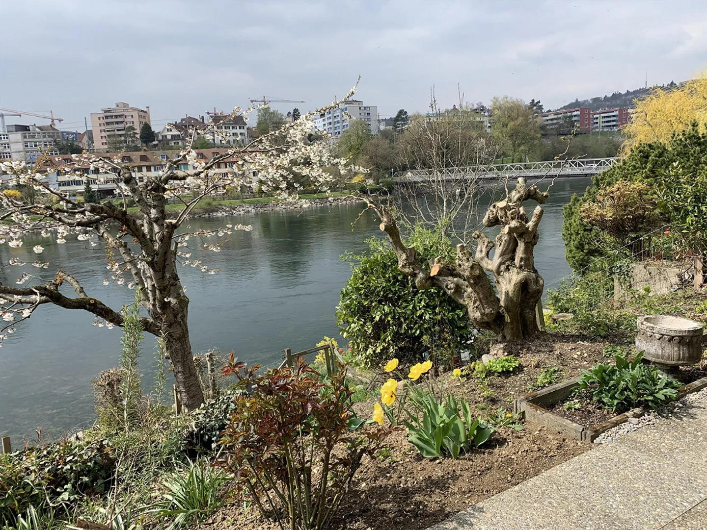 6.5 Room Single Family Home Directly on the Rhine - Photo 11 of 11