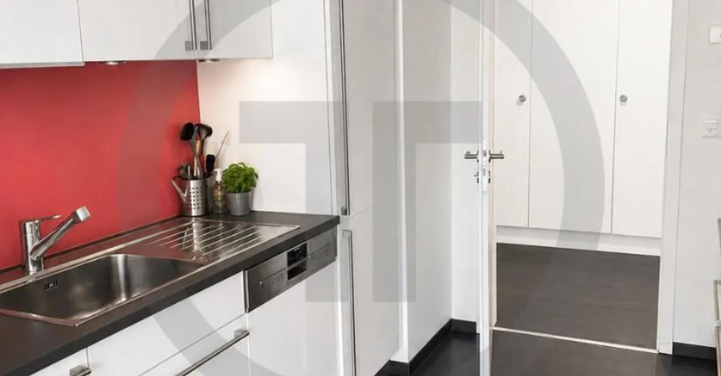 Luxury Apartment in Vessy - Photo 2 of 8