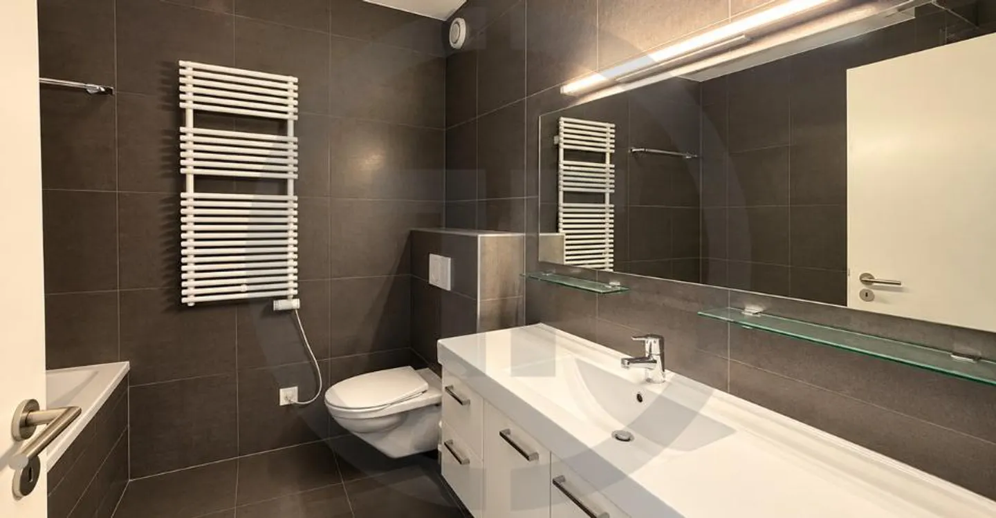 Luxury Apartment in Vessy - Photo 5 of 8