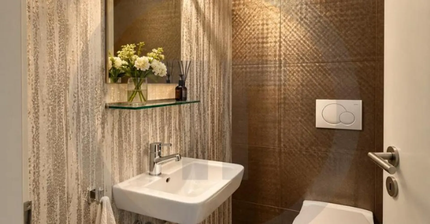 Luxury Apartment in Vessy - Photo 4 of 8