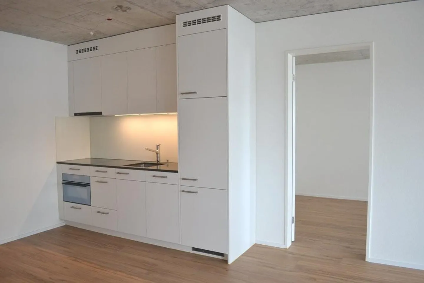 Moderno appartamento 2.5 con enorme terrazza sul tetto condivisa - Foto 2 di 9