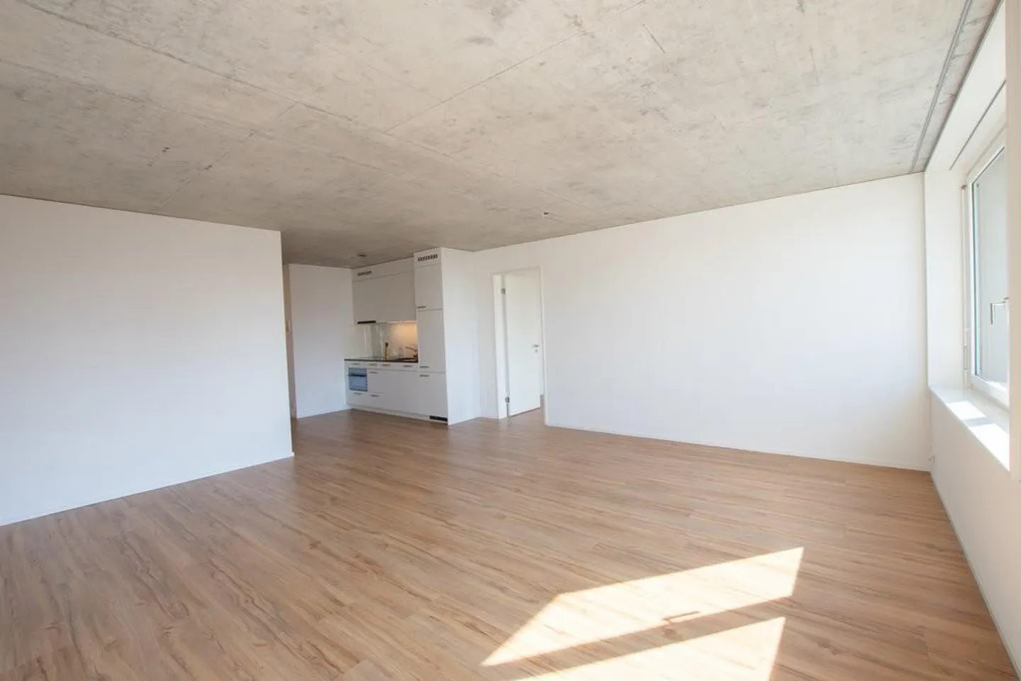 Moderno appartamento 2.5 con enorme terrazza sul tetto condivisa - Foto 3 di 9