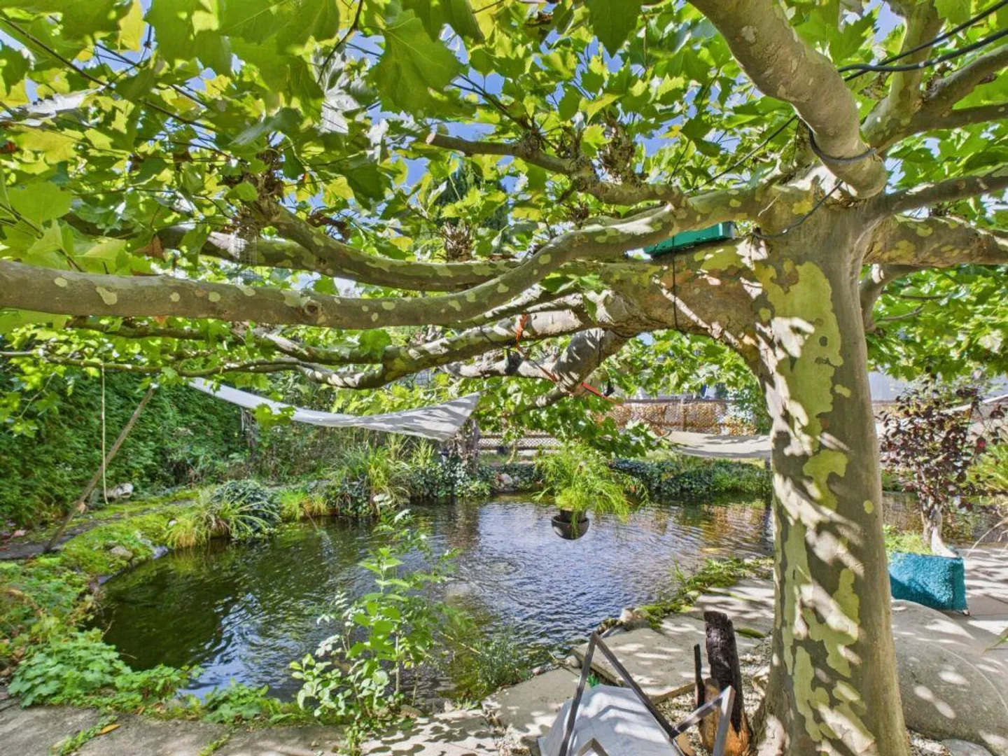 Dream House in the Green Seeks Artist Couple - Photo 16 of 23