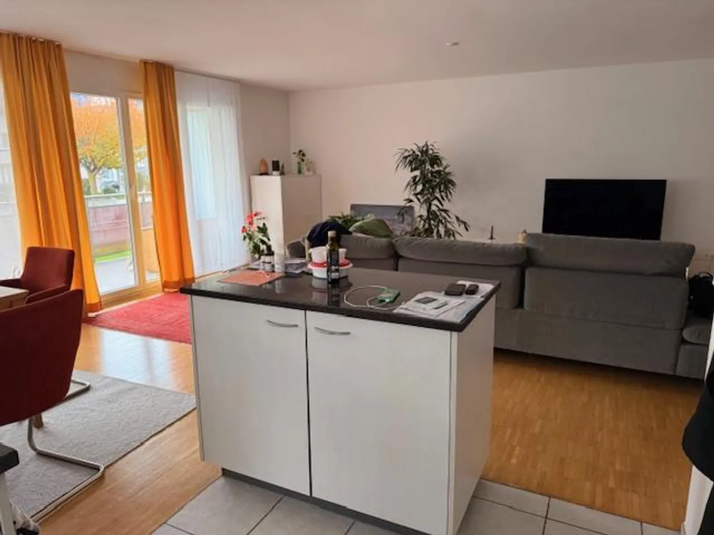 Vivere nel verde soleggiato e comunque vicino al centro - Foto 3 di 11