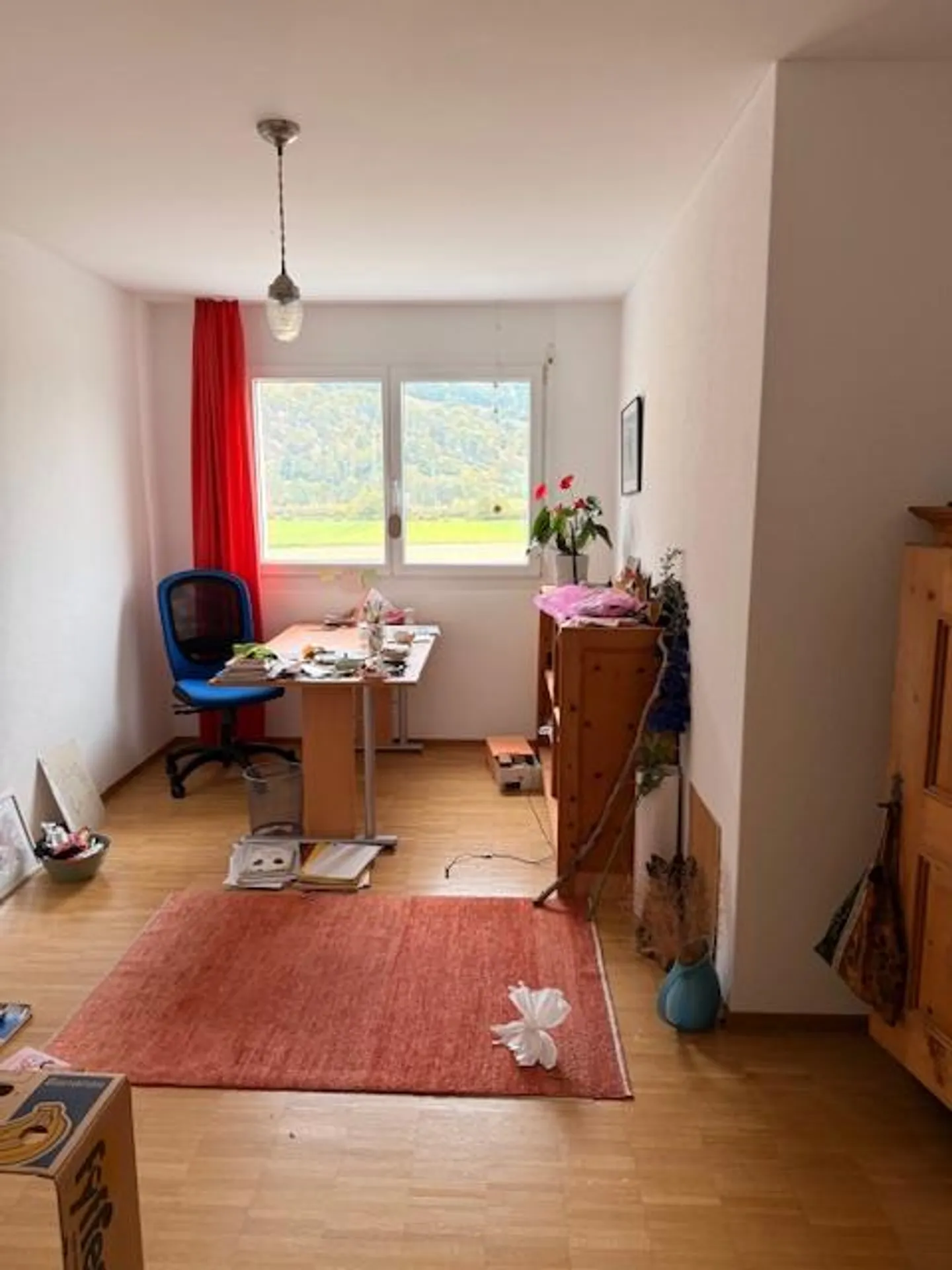 Vivere nel verde soleggiato e comunque vicino al centro - Foto 6 di 11