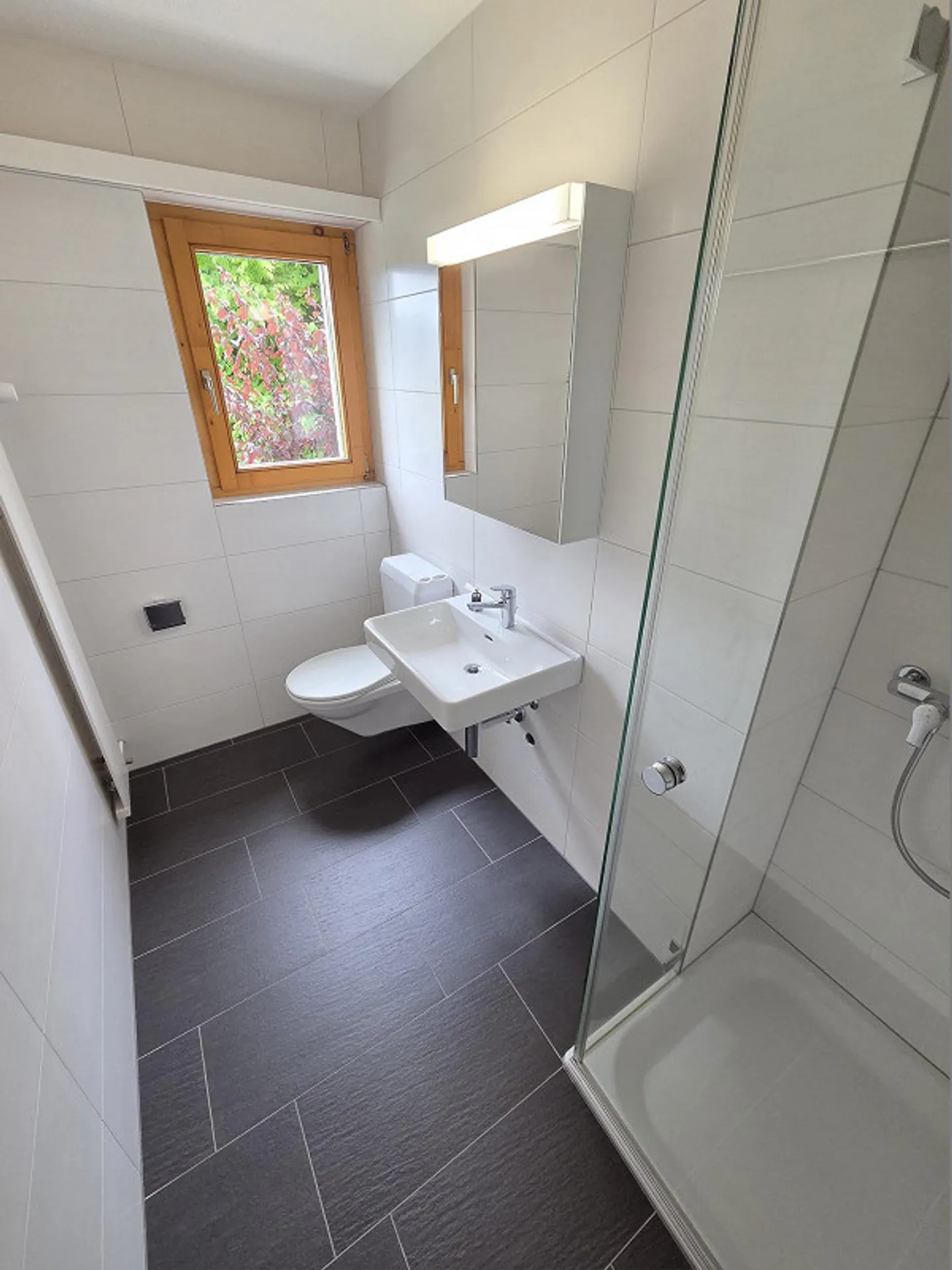 Geräumige 4.5-Zimmerwohnung in Heiden - Foto 3 von 8