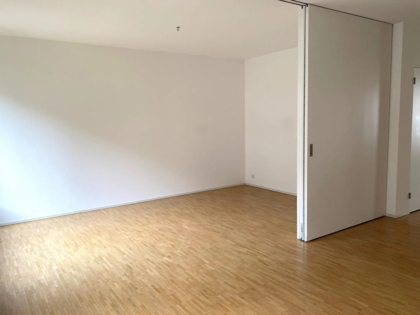 Modern Apartment Near SBB Train Station - Photo 7 of 12