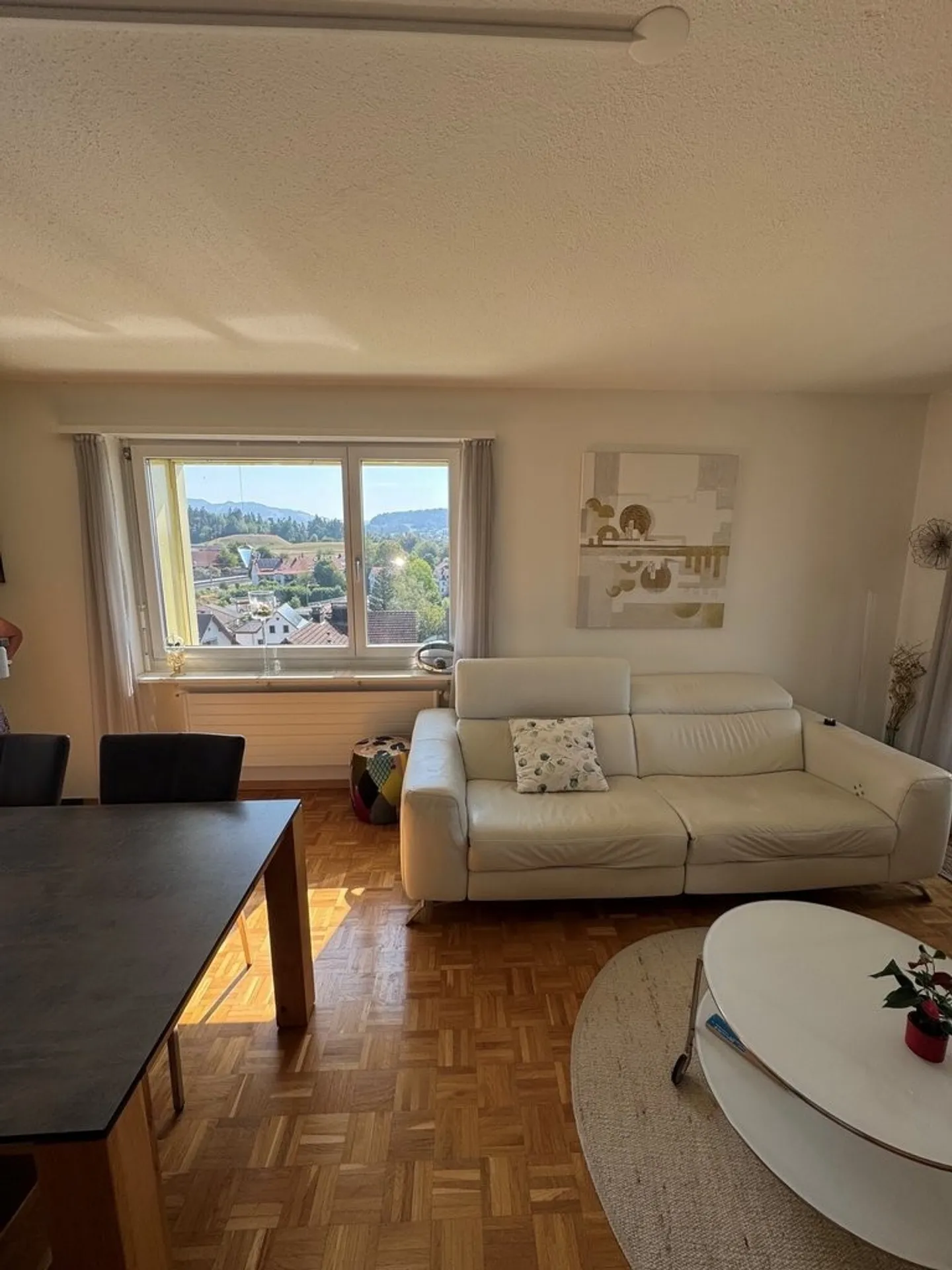 Charming 3-room apartment with panoramic view in the countryside for rent - Photo 3 of 10