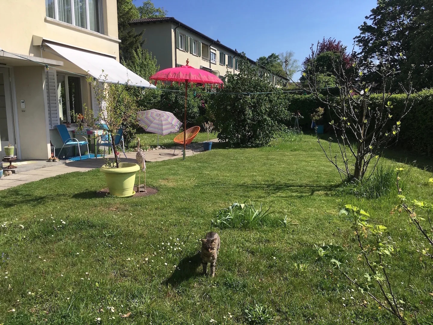 3 ROOM APARTMENT IN ZURICH - DISTRICT 2 WOLLISHOFEN, FURNISHED, TEMPORARY - Photo 1 of 10