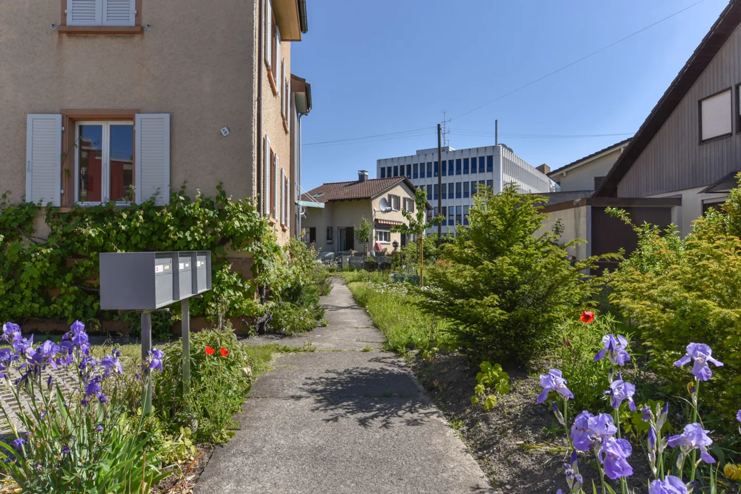 Charmante DG-Wohnung in Aarau - Foto 12 von 14