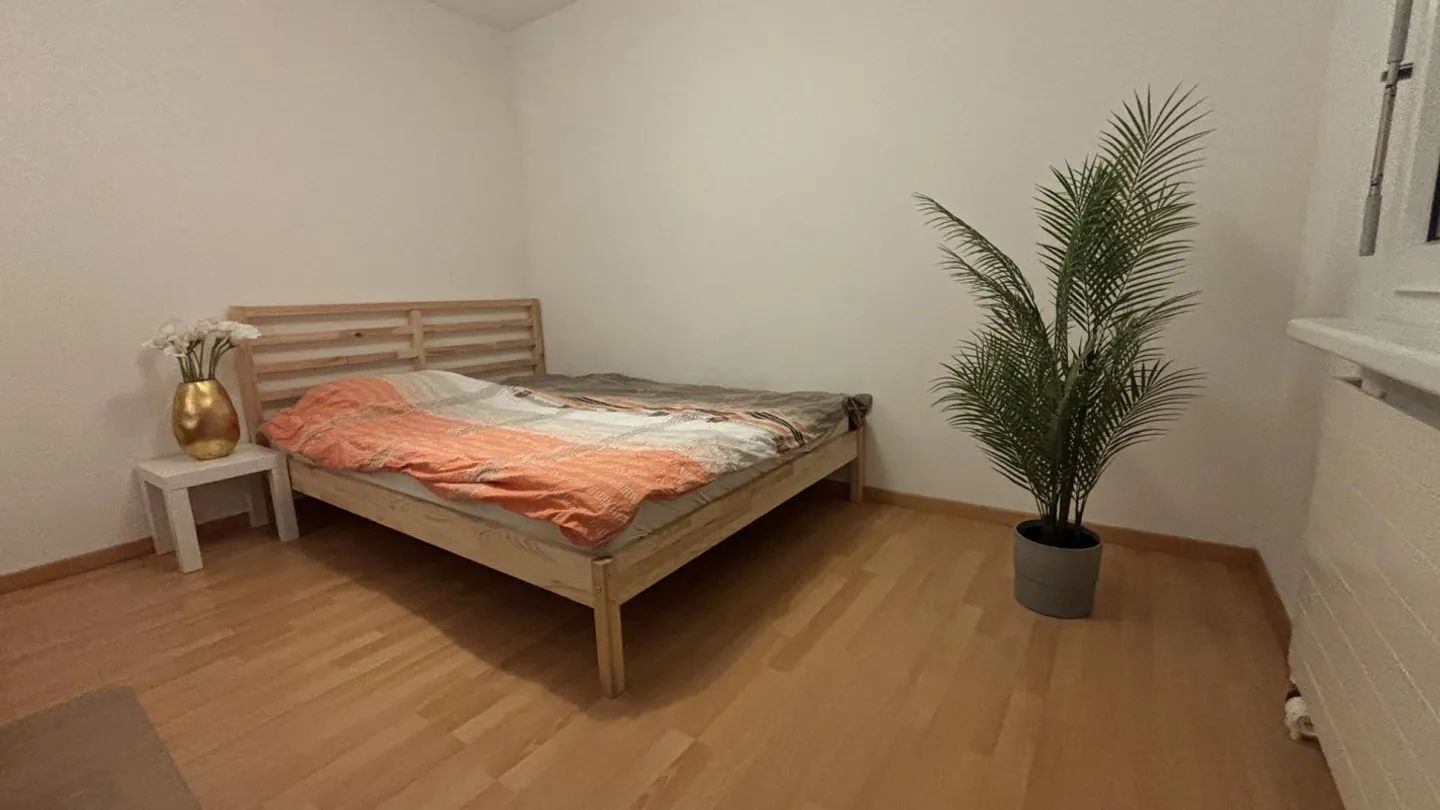 Bright furnished room in shared apartment 12m central, quiet, sunny - Photo 10 of 14
