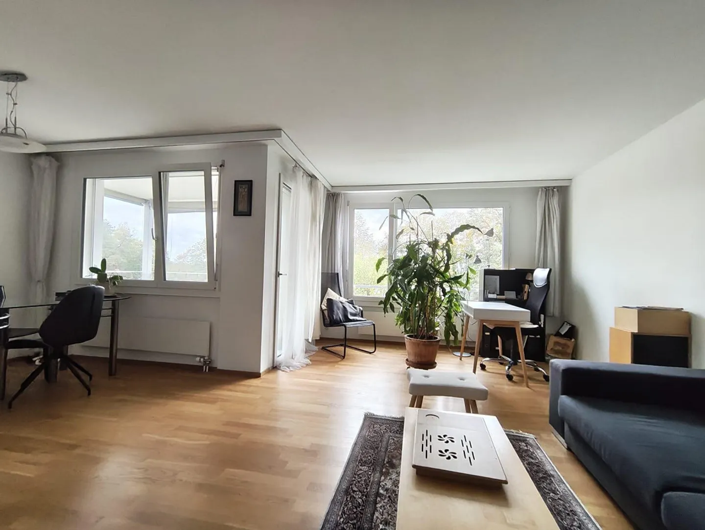 Schöne Wohnung in Zumikon - Foto 2 von 14