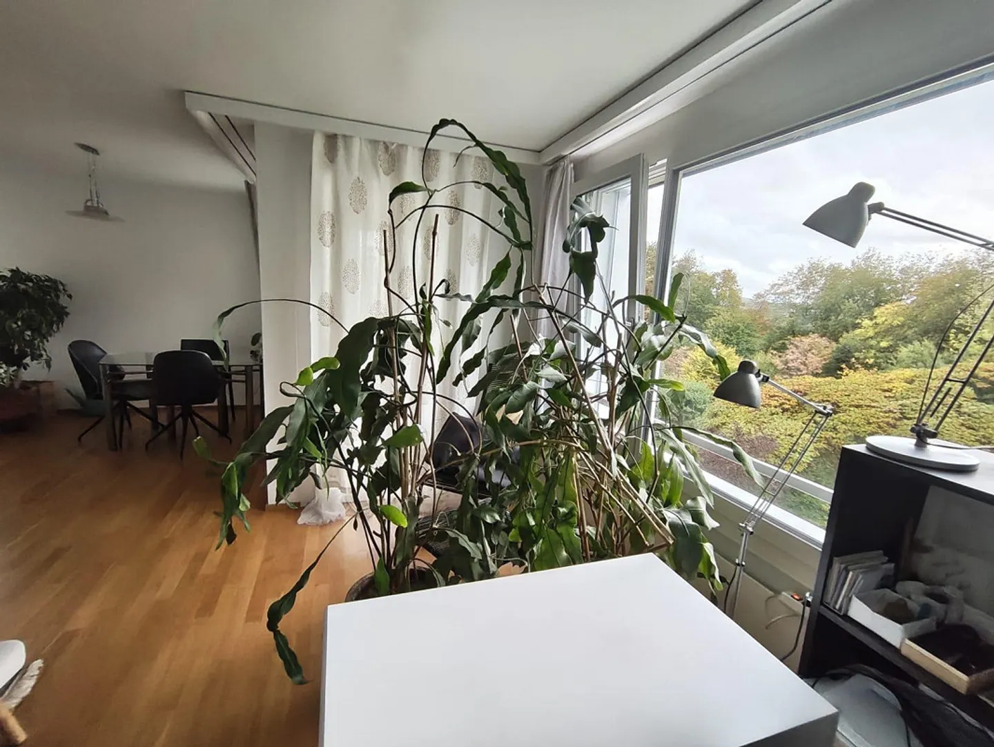 Schöne Wohnung in Zumikon - Foto 3 von 14