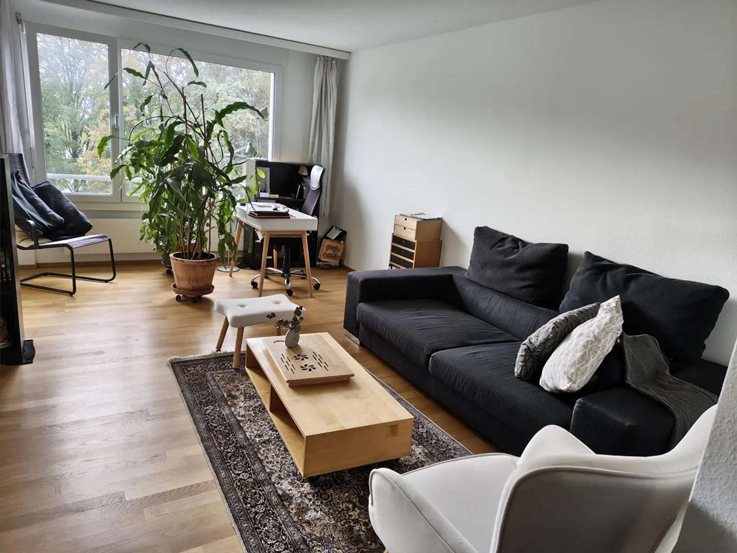 Schöne Wohnung in Zumikon - Foto 7 von 14