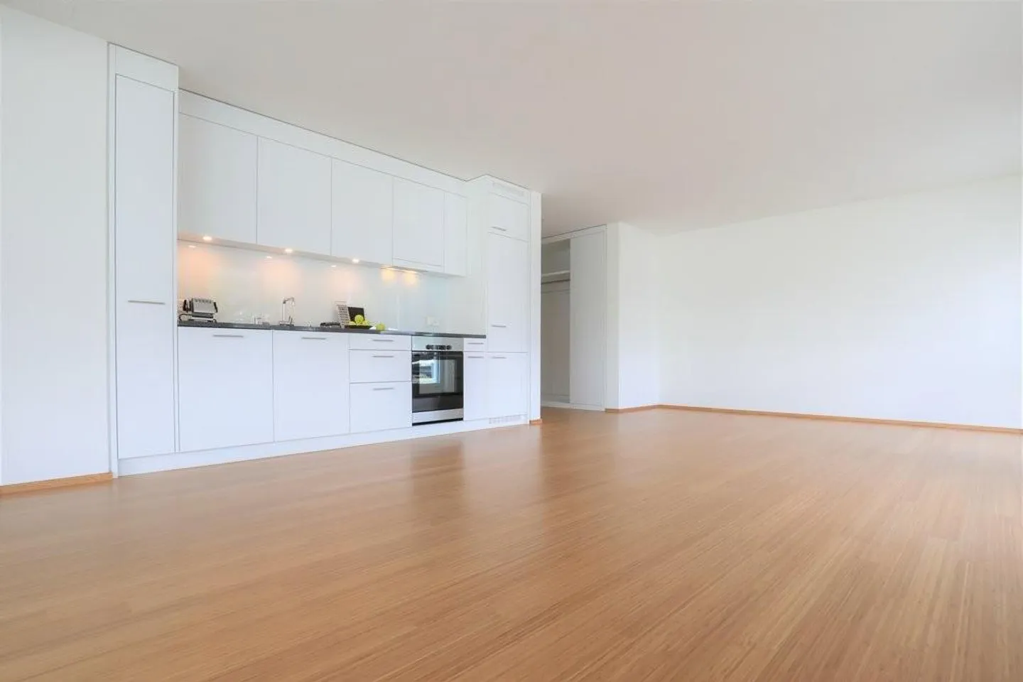 Modern Apartment with Garden - Photo 2 of 10
