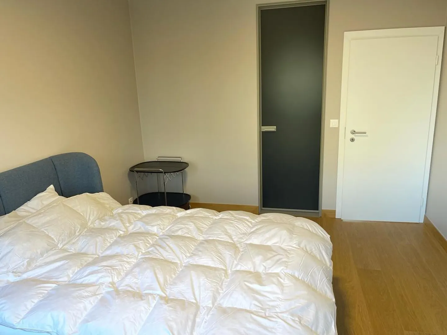 Magnificent luxurious 4.5-room fully furnished apartment at the Nations - Photo 1 of 7