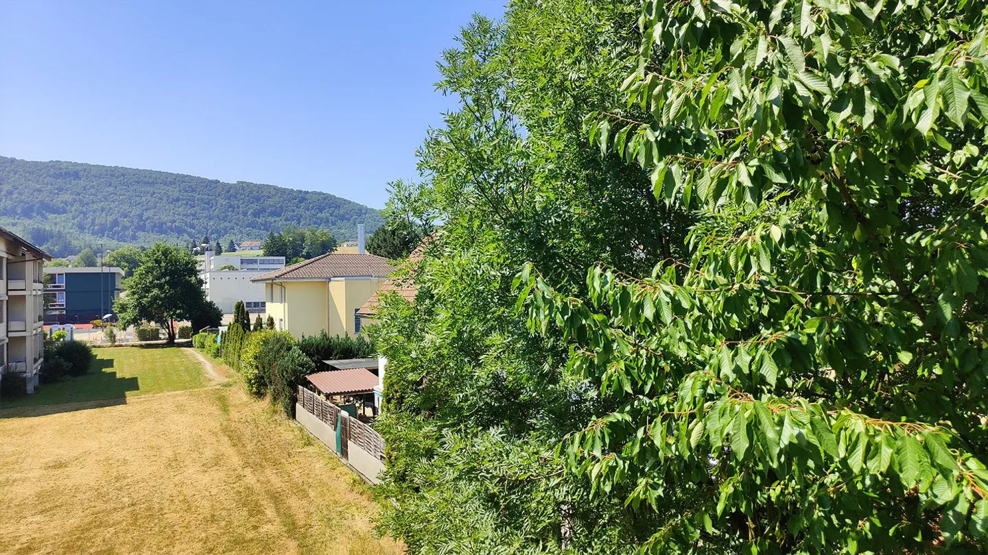 Very nice, sunny apartment in the center - Photo 14 of 16