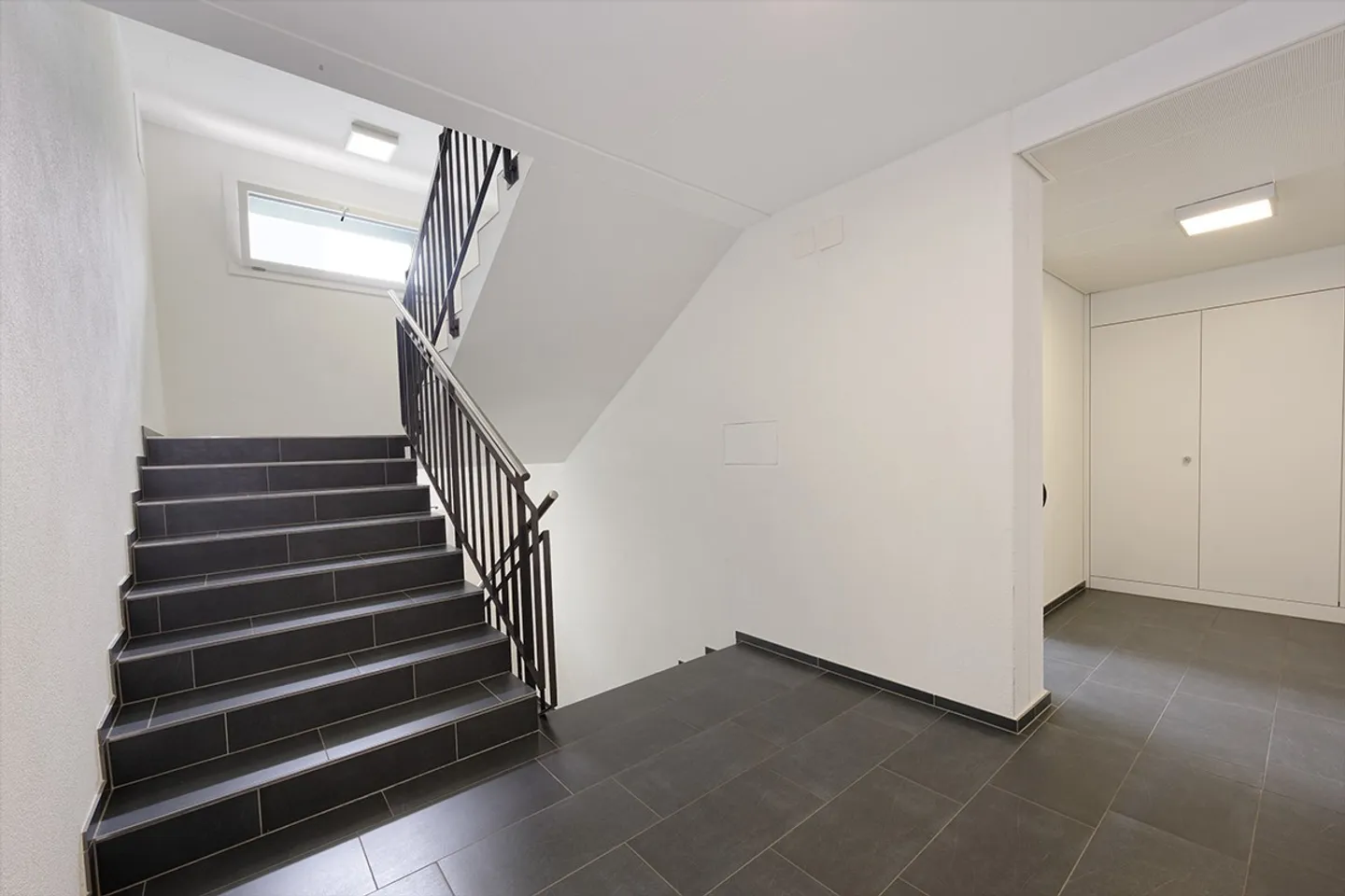 Montrer sa présence ! - Photo 4 sur 9