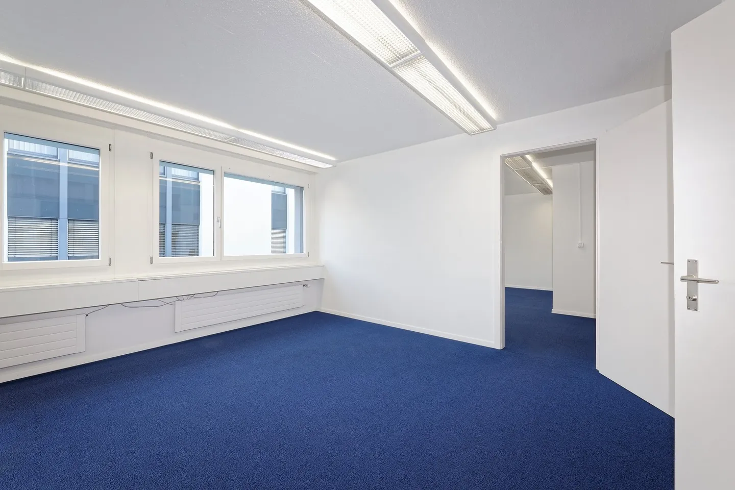 Montrer sa présence ! - Photo 6 sur 9