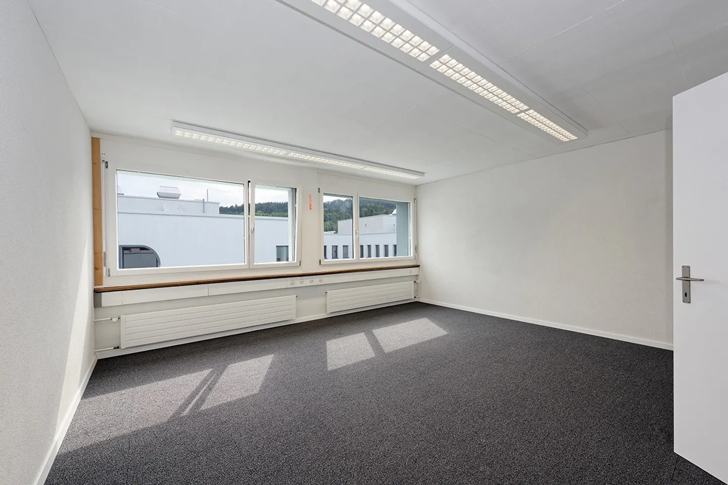 Montrer sa présence ! - Photo 8 sur 9