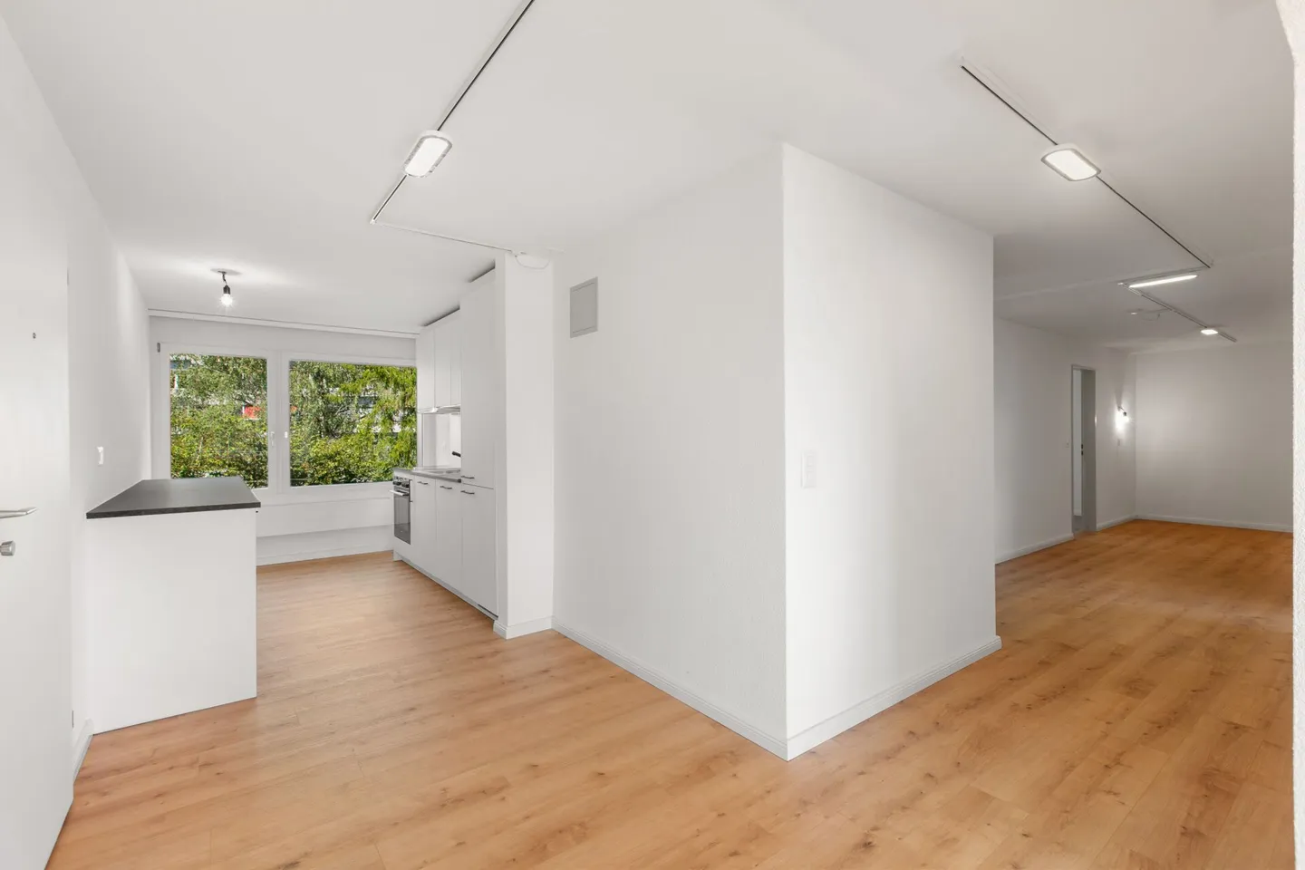 Appartamento 4½ locali completamente ristrutturato con grande balcone - Foto 5 di 21