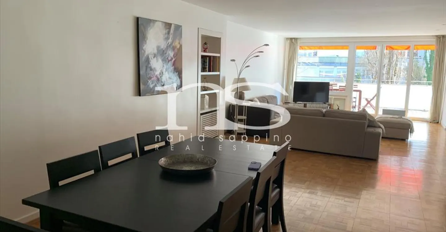 Bell'appartamento attraversante vicino al centro città - Malagnou - Foto 2 di 7