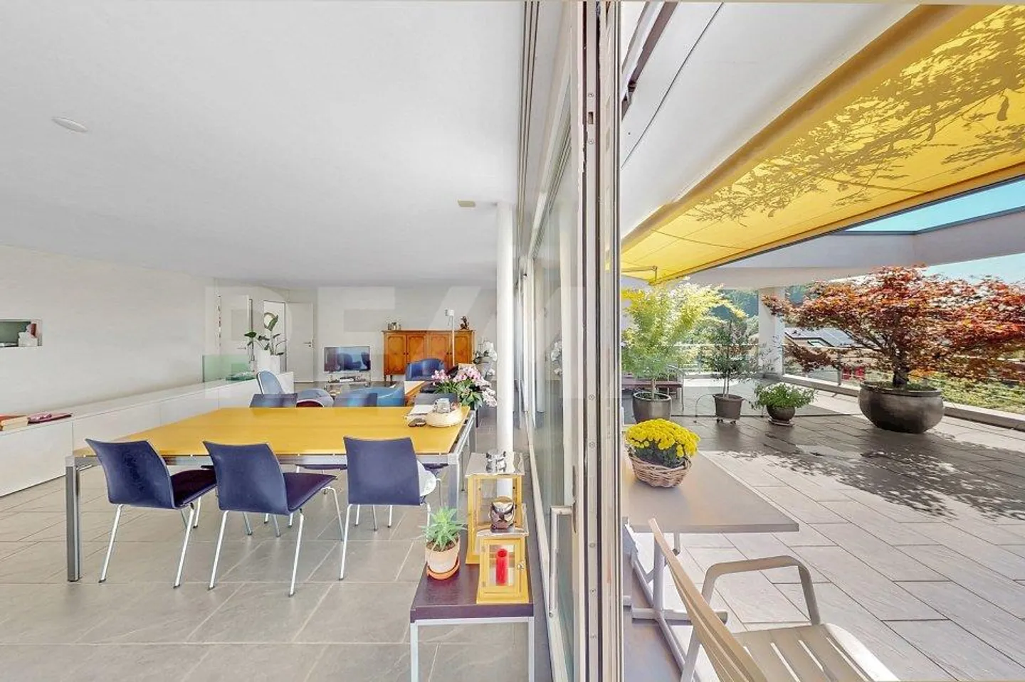 Casa unifamiliare 5.5 locali, WF 177 m², GF 621 m², BJ 2001, Terrazza 73 m², 4 locali, 1 garage... - Foto 5 di 13