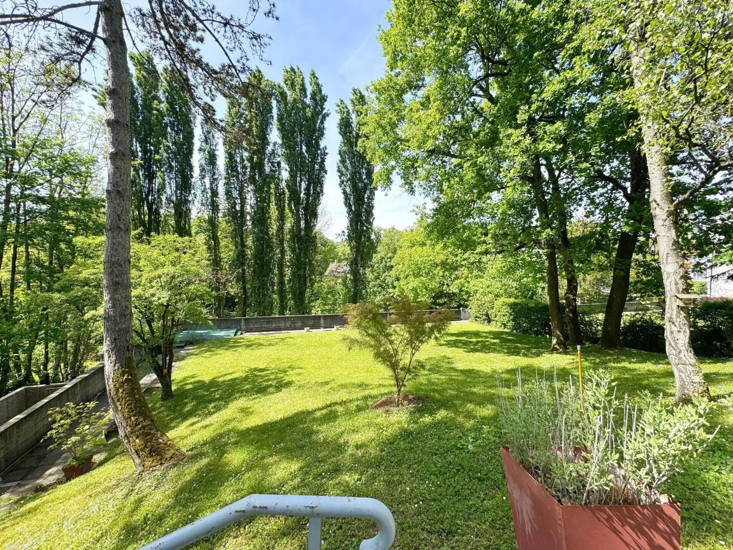 Schöne renovierte 3-Zimmer-Wohnung - Foto 8 von 8