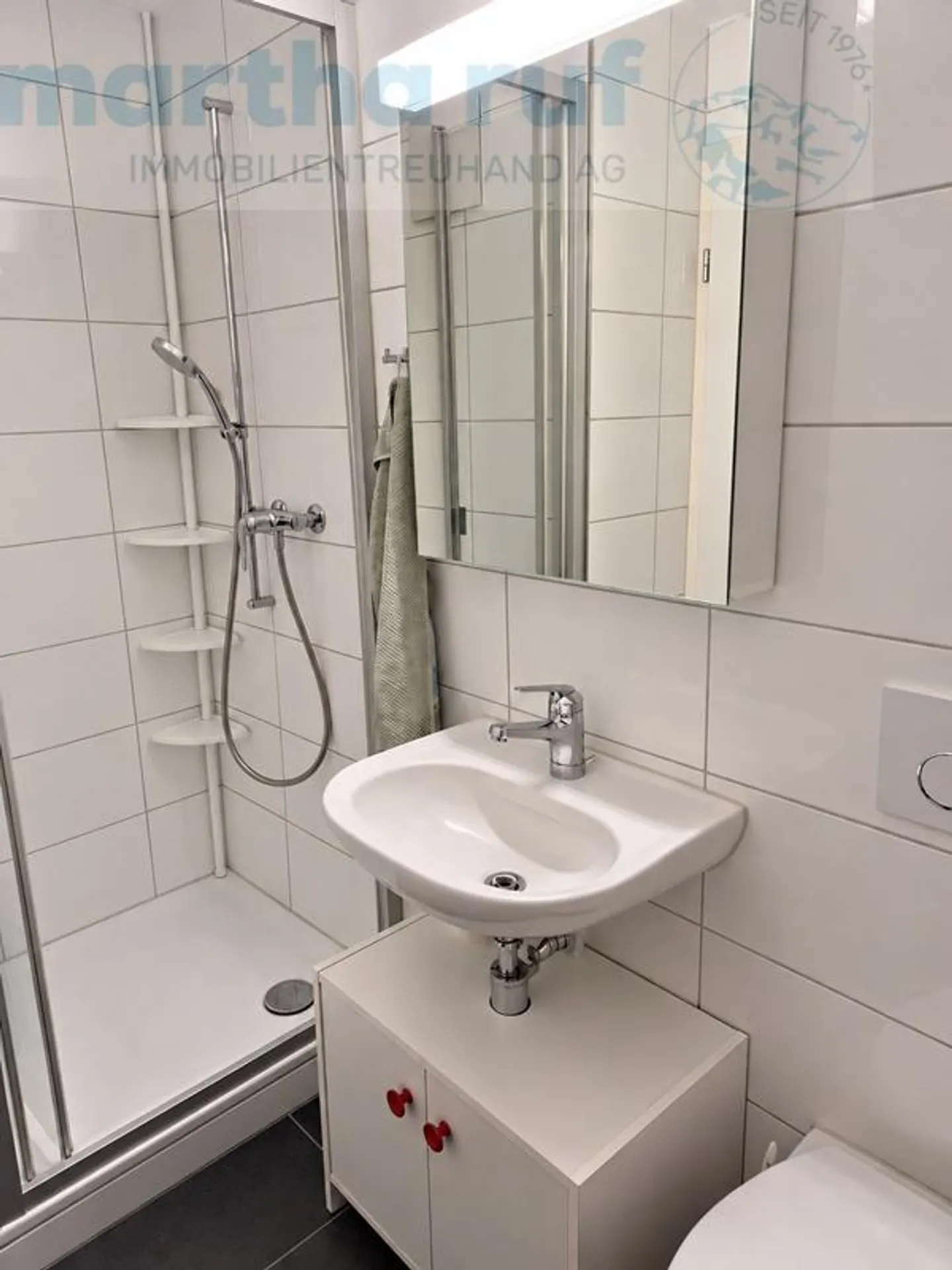Geräumige 4.5-Zimmer-Wohnung - Foto 9 von 12