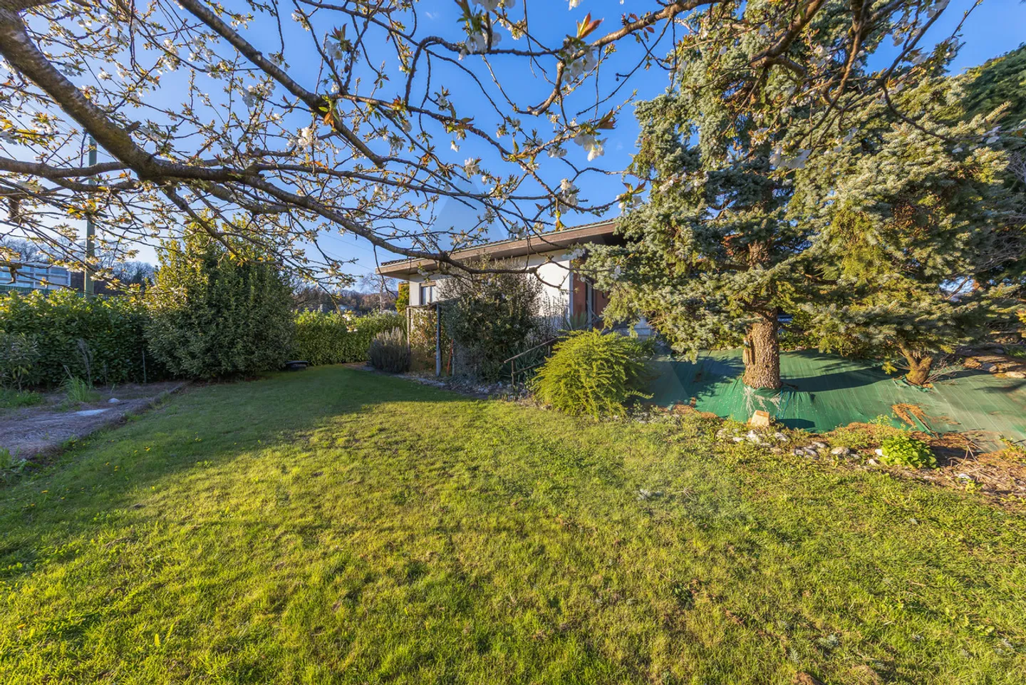 DETACHED HOUSE WITH LARGE LAND IN SAN PIETRO DI STABIO - Photo 4 of 14