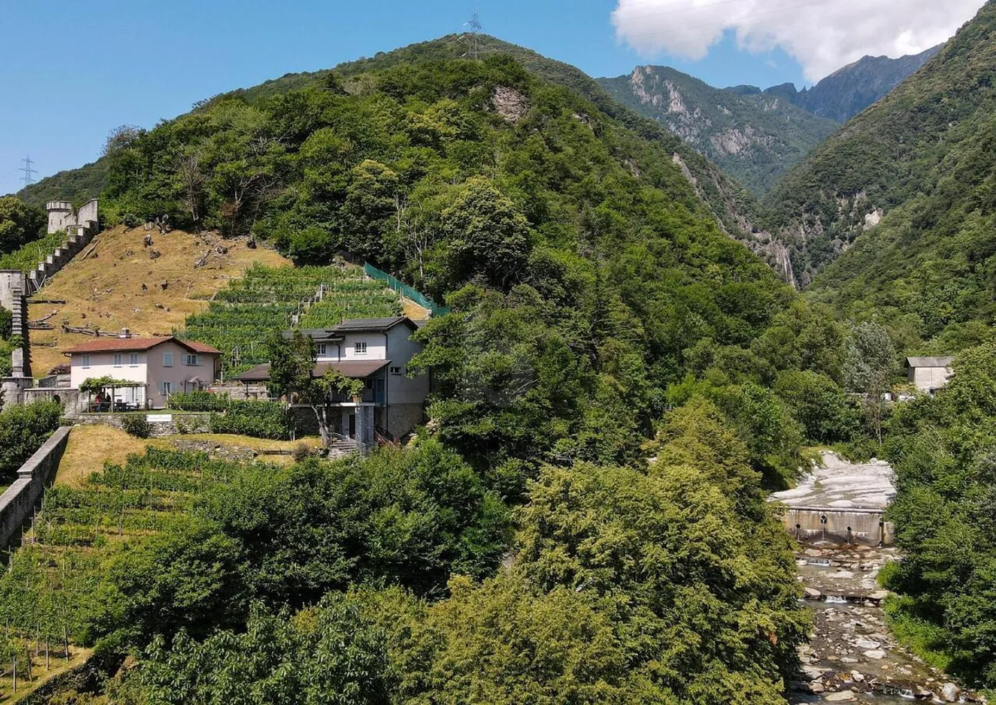 PRODUCTION AND HOSPITALITY IN AN IDEAL LOCATION - Photo 1 of 6