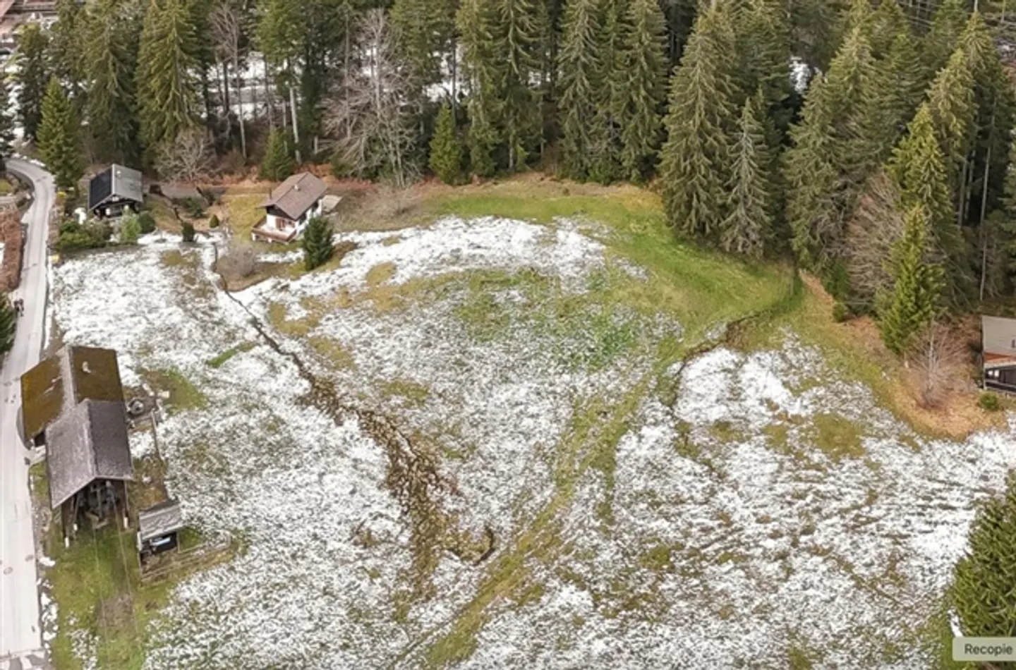 Terreno di 1464m2 a Les Paccots con ottima posizione e esposizione solare ottimale - Foto 2 di 4