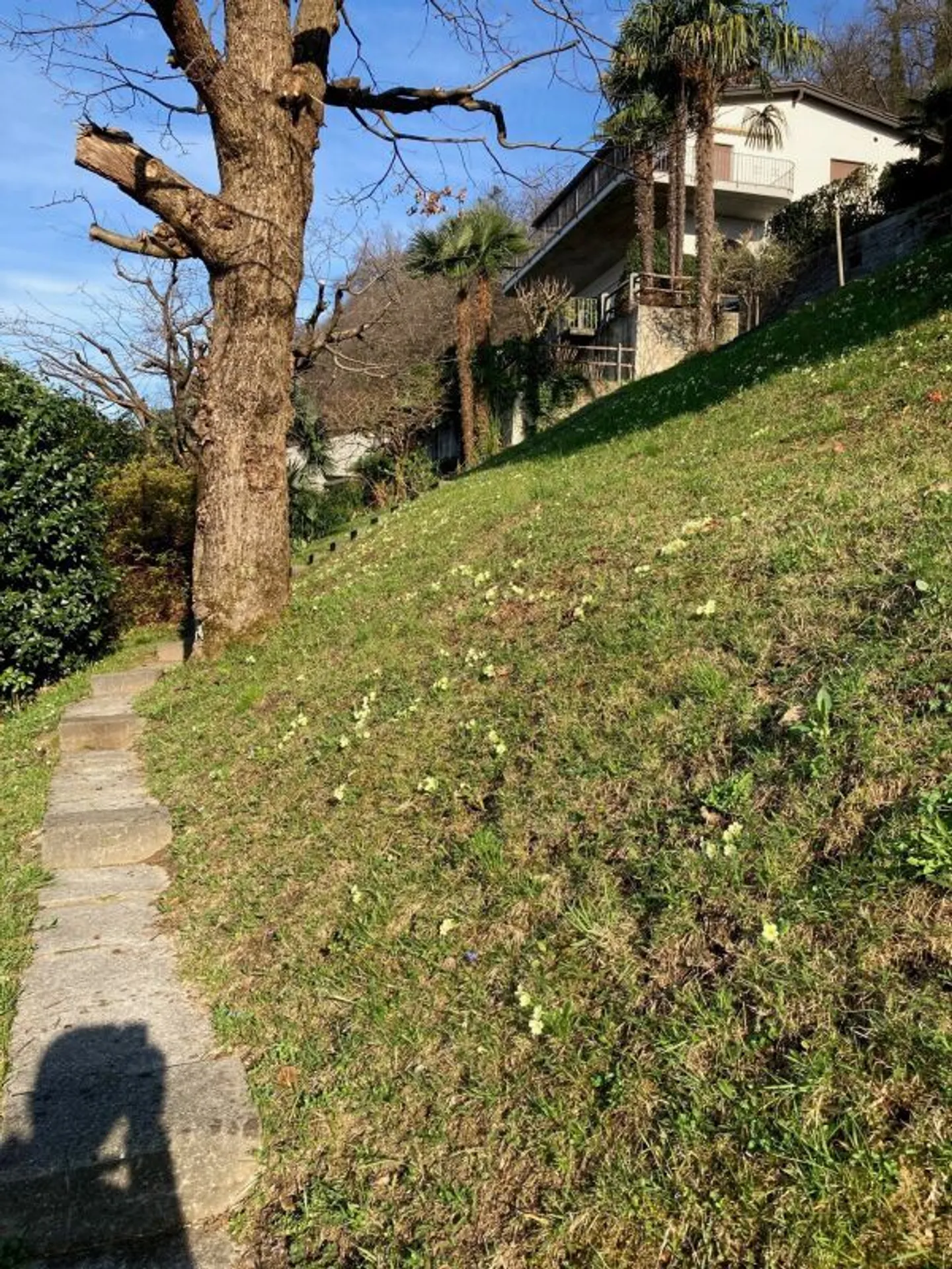 Baugrundstück mit Seesicht - Foto 8 von 8