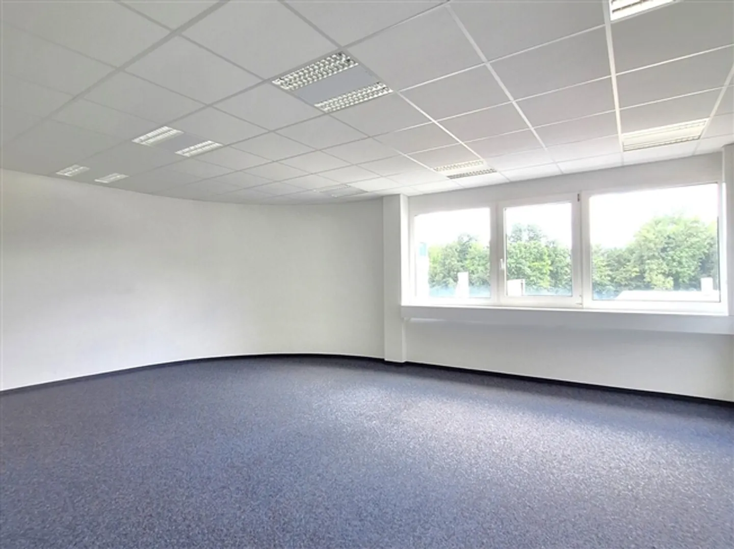 Apartment - Photo 5 of 13