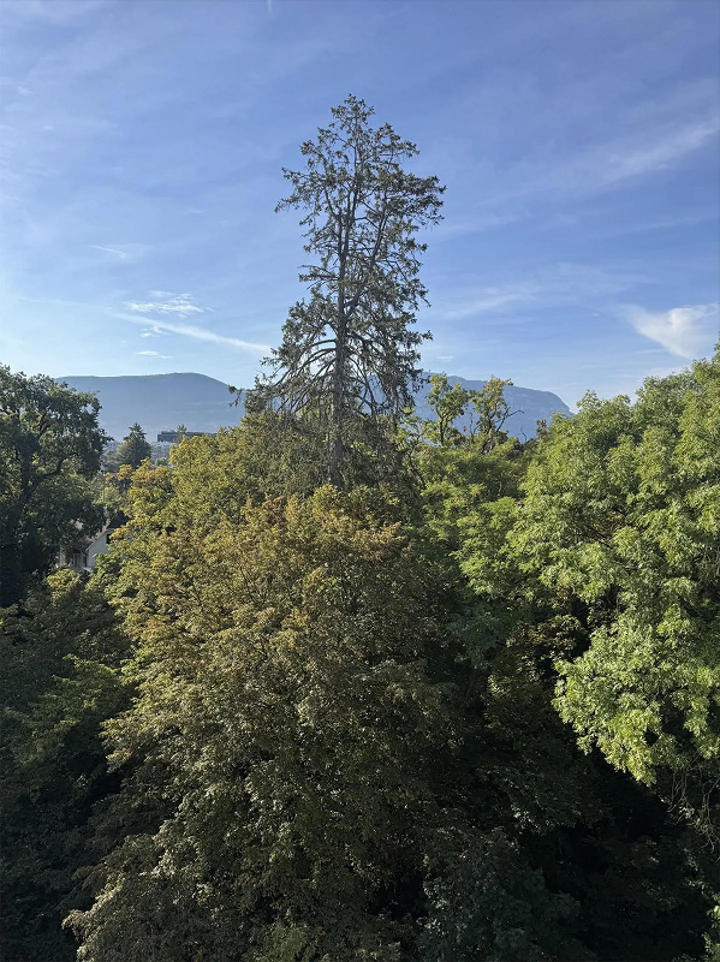 Appartement Charmant avec Balcon - Photo 1 sur 6
