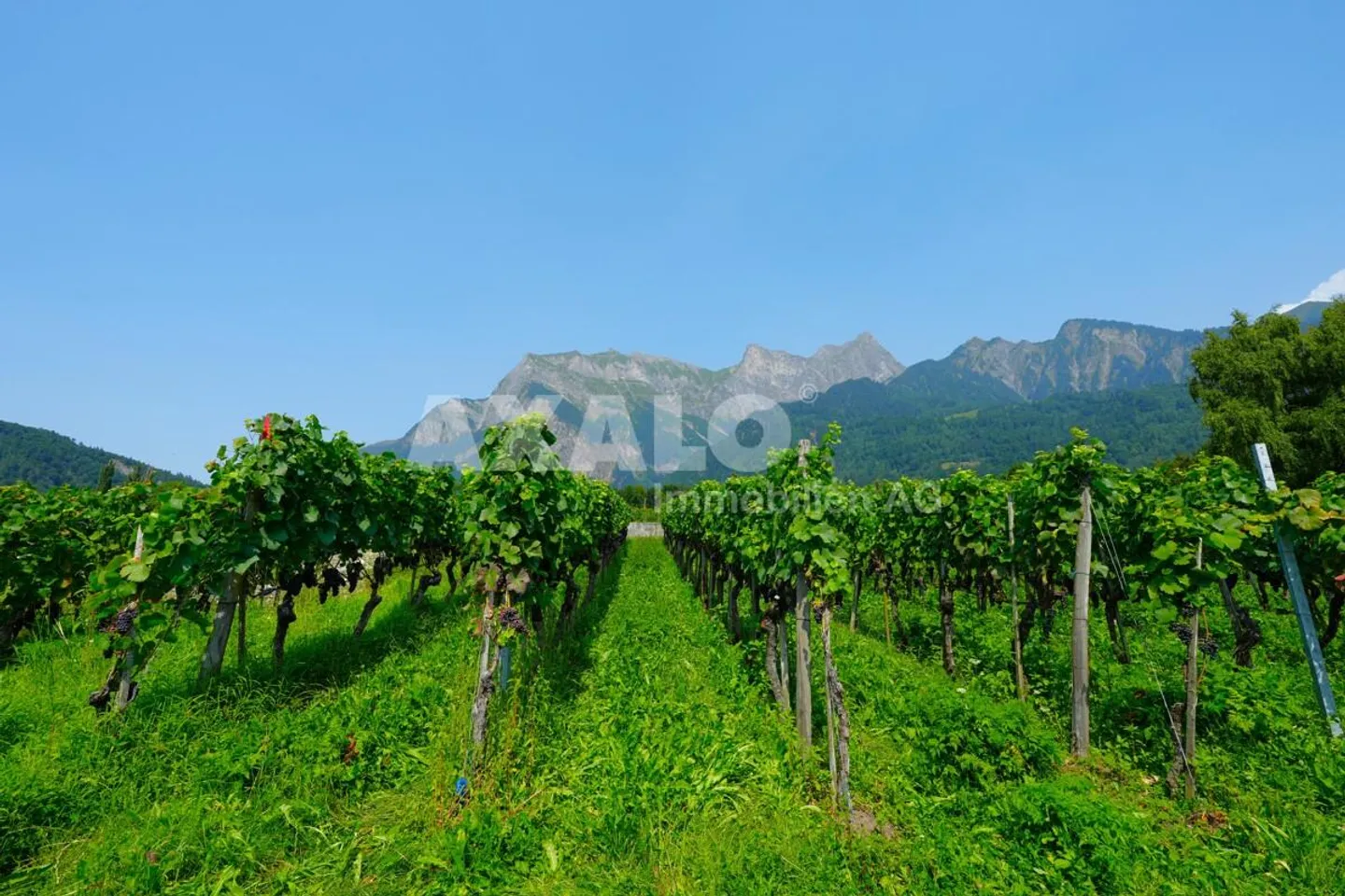 Terreno edificabile unico a Maienfeld - Foto 3 di 5