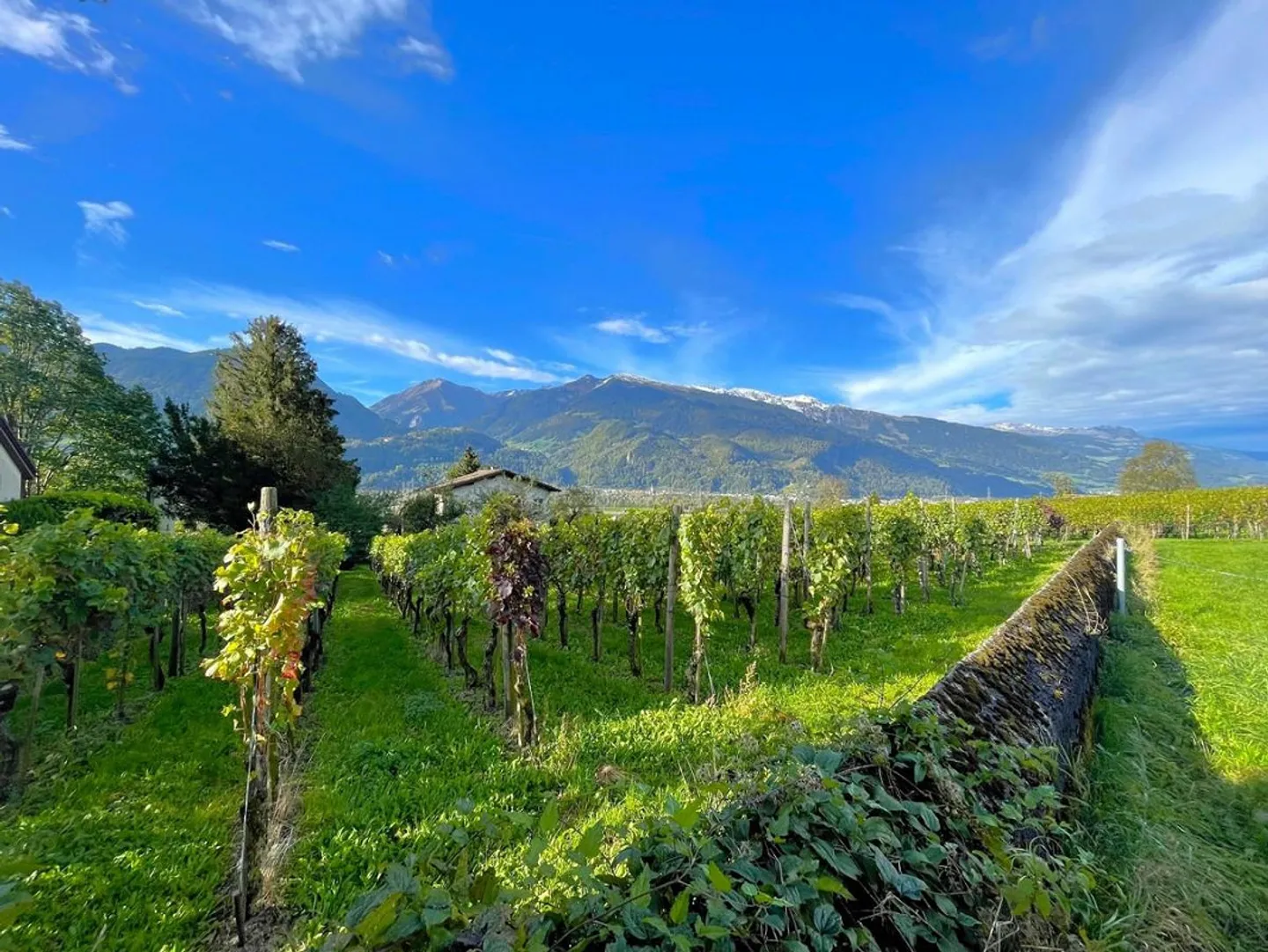 Terreno edificabile unico a Maienfeld - Foto 4 di 5