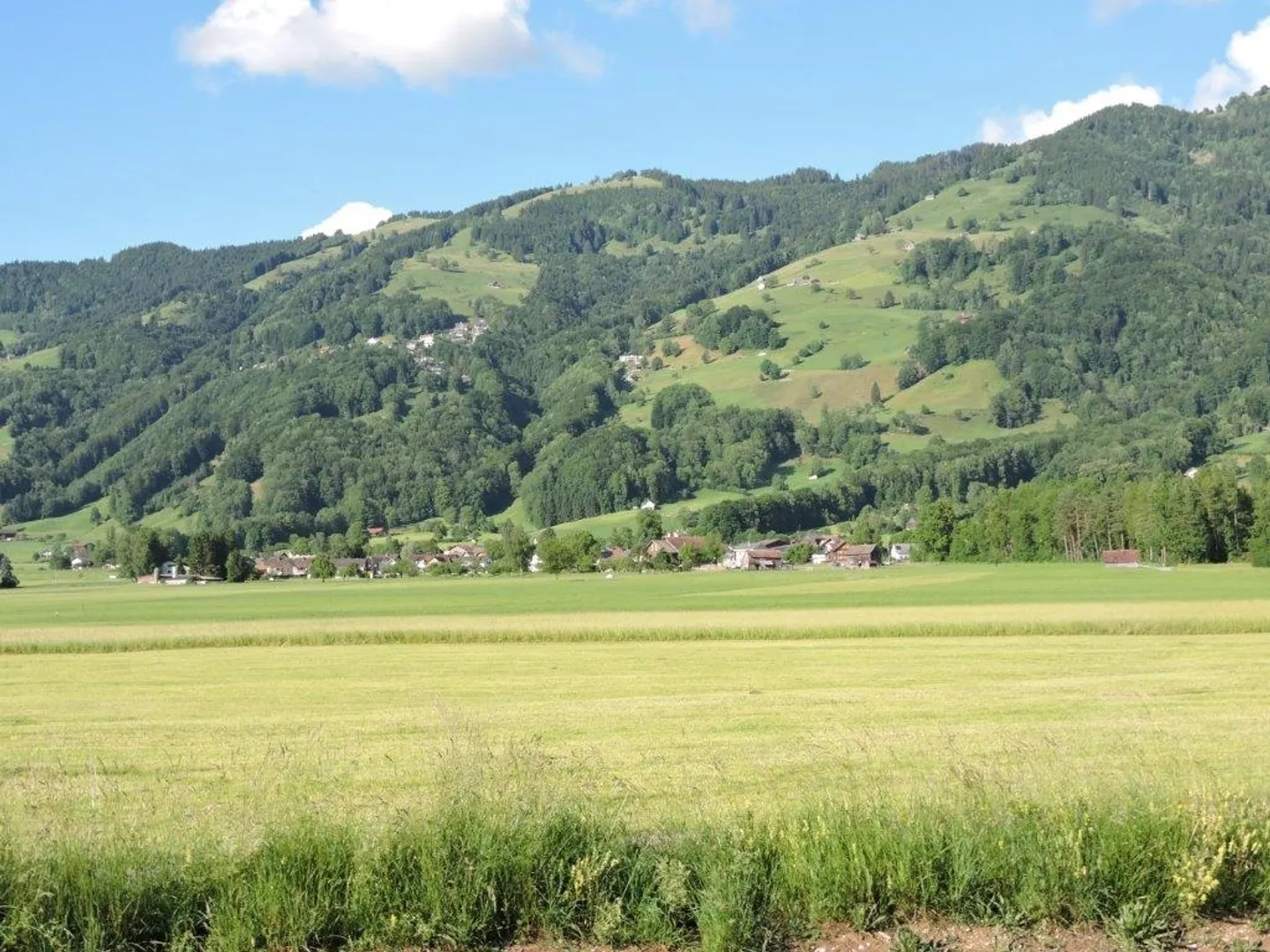 2,5 Zimmer Einliegerwohnung mit eigenem Eingang und Garten - Foto 12 di 14