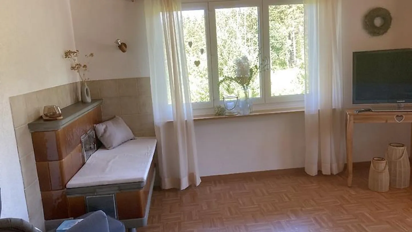 3½ ROOM APARTMENT IN MIRCHEL (BE), FURNISHED, TEMPORARY - Photo 9 of 10