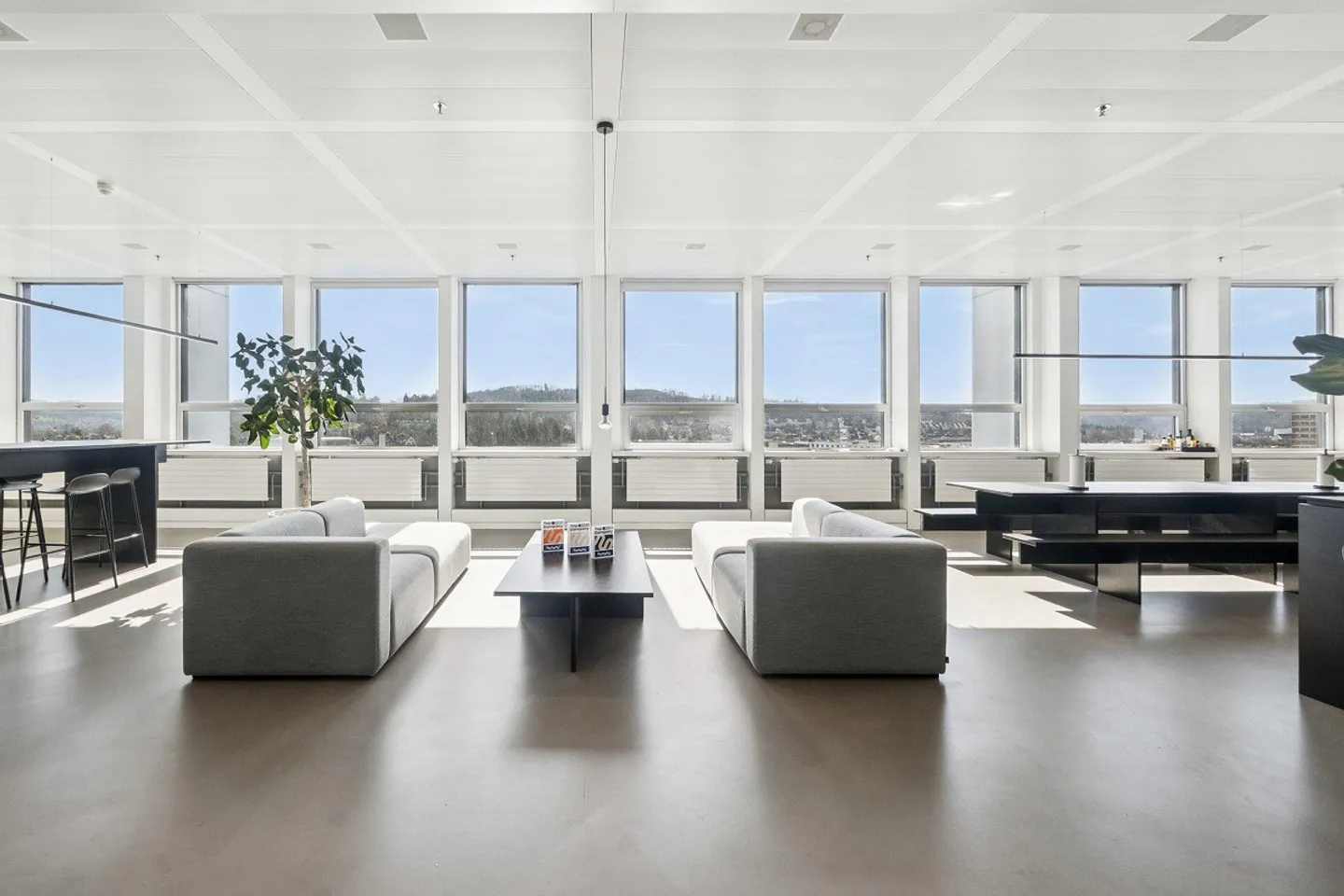 Wintower - Working Above the Rooftops of Winterthur! - Photo 4 of 13