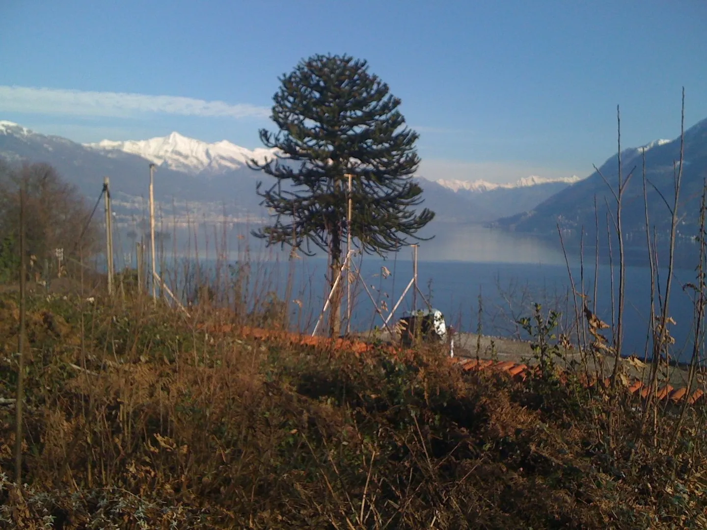 Meadow and Forest Property with Unique View in Brissago - Photo 3 of 6