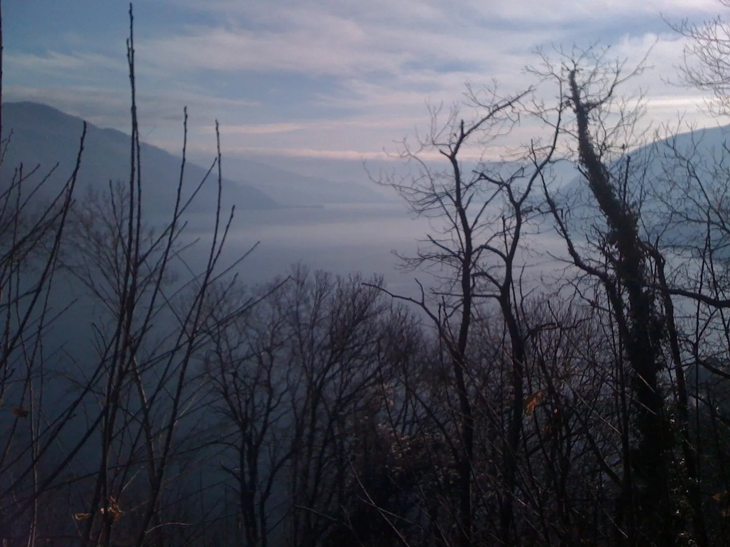 Meadow and Forest Property with Unique View in Brissago - Photo 4 of 6