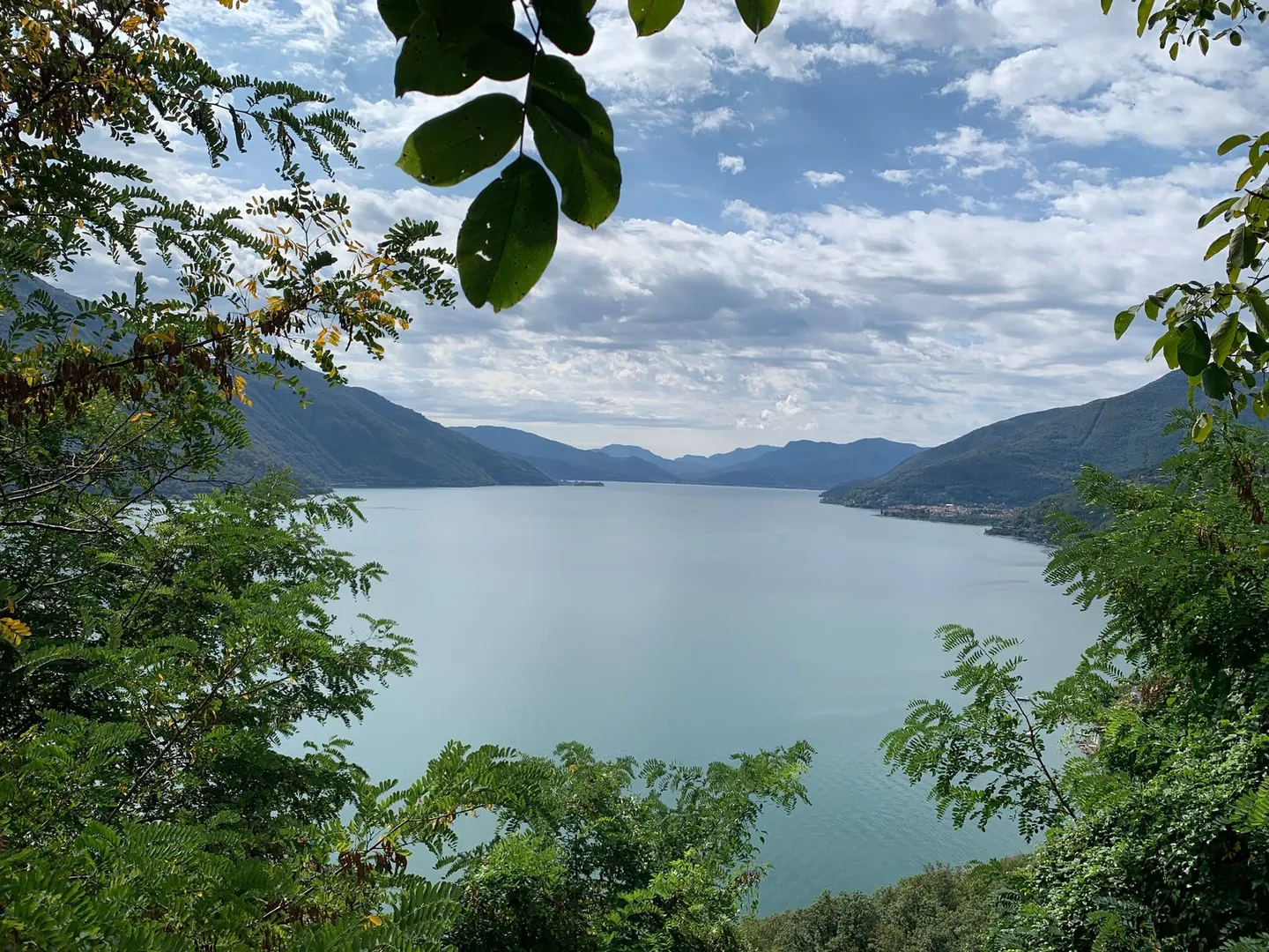Meadow and Forest Property with Unique View in Brissago - Photo 5 of 6