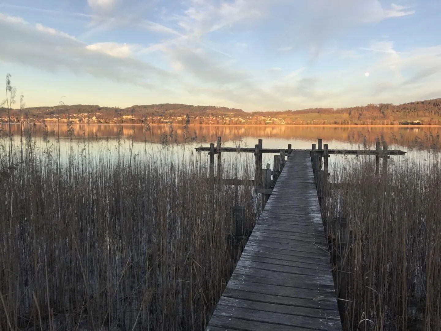 Appartement 3.5 pièces - Photo 5 sur 5