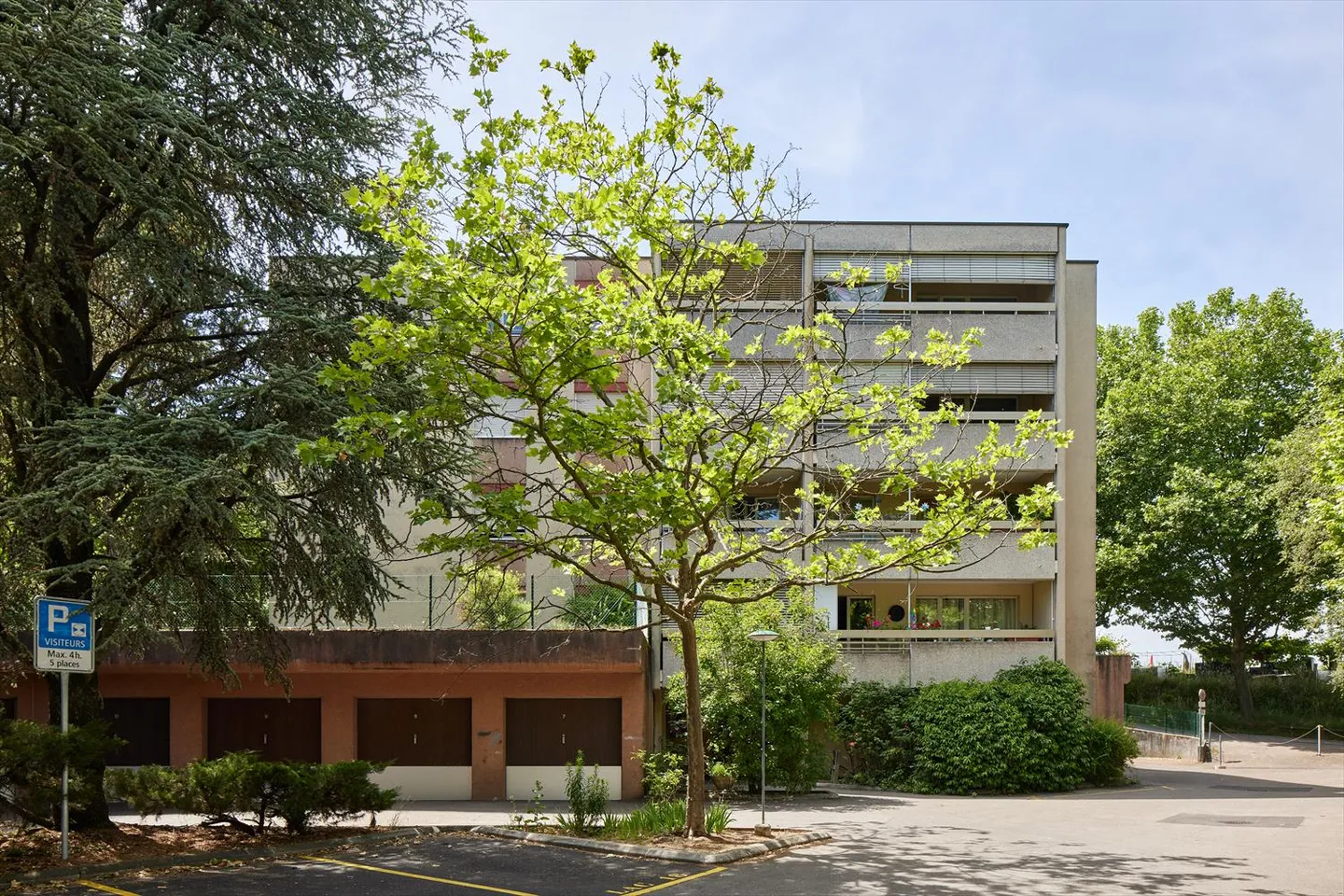 2.5 Room Apartment - Photo 3 of 3