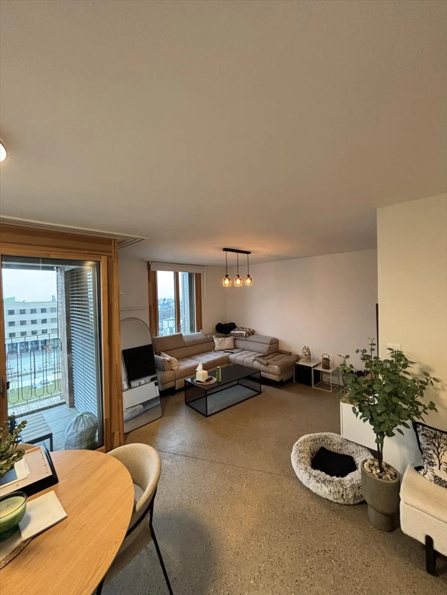 Appartamento 3,5 locali - Foto 4 di 10