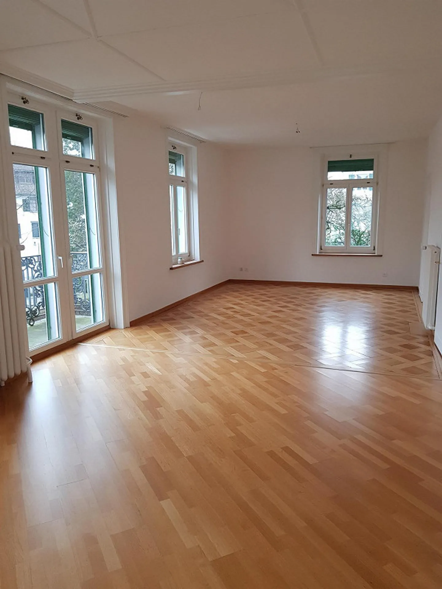 enorme appartamento signorile di 3½ locali in città con 2 balconi e giardino - Foto 5 di 13