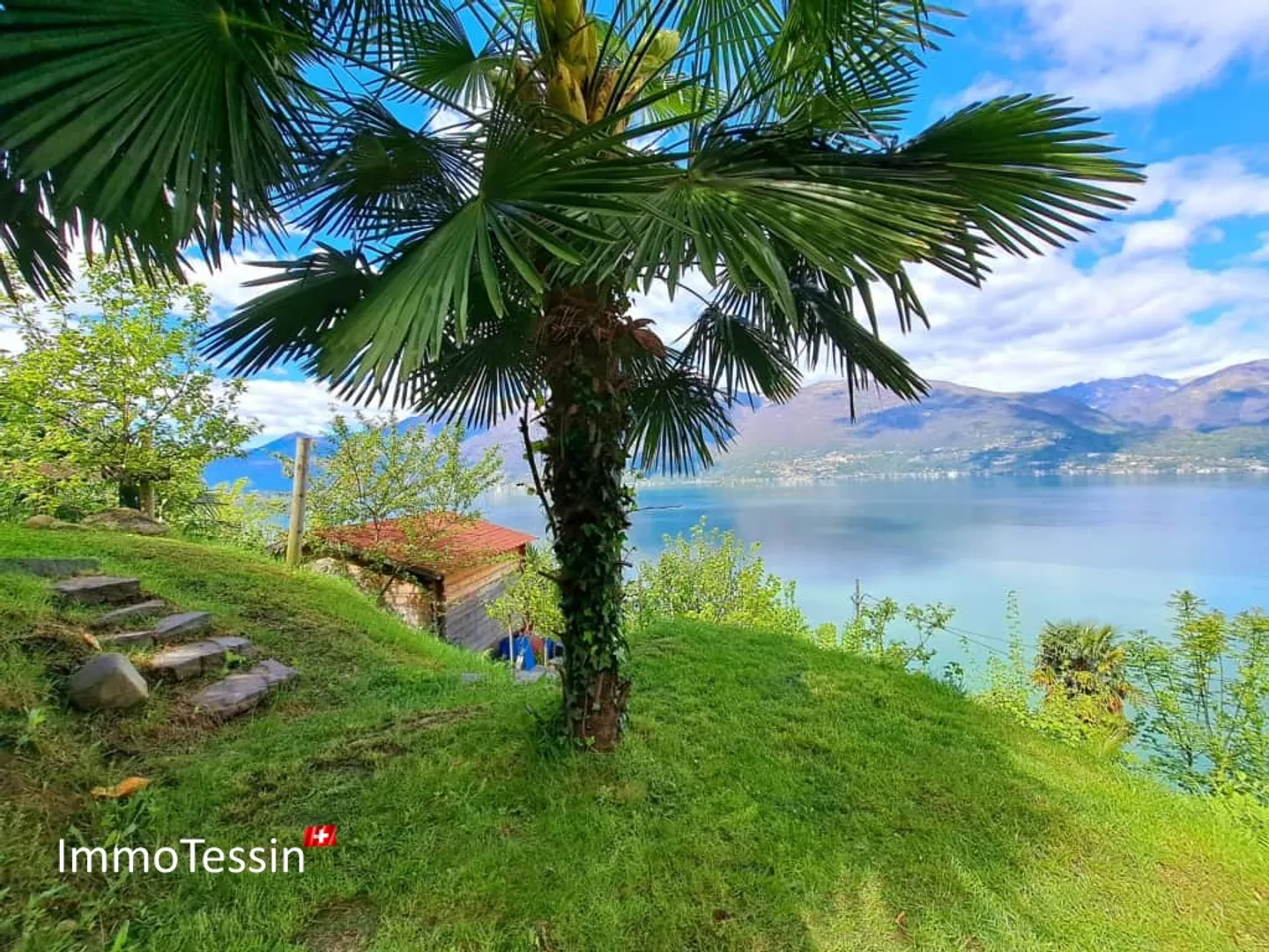Rarità: Villa moderna con 2 appartamenti e terreno con vista unica sul lago Maggiore a perdita d'occhio - Foto 4 di 13
